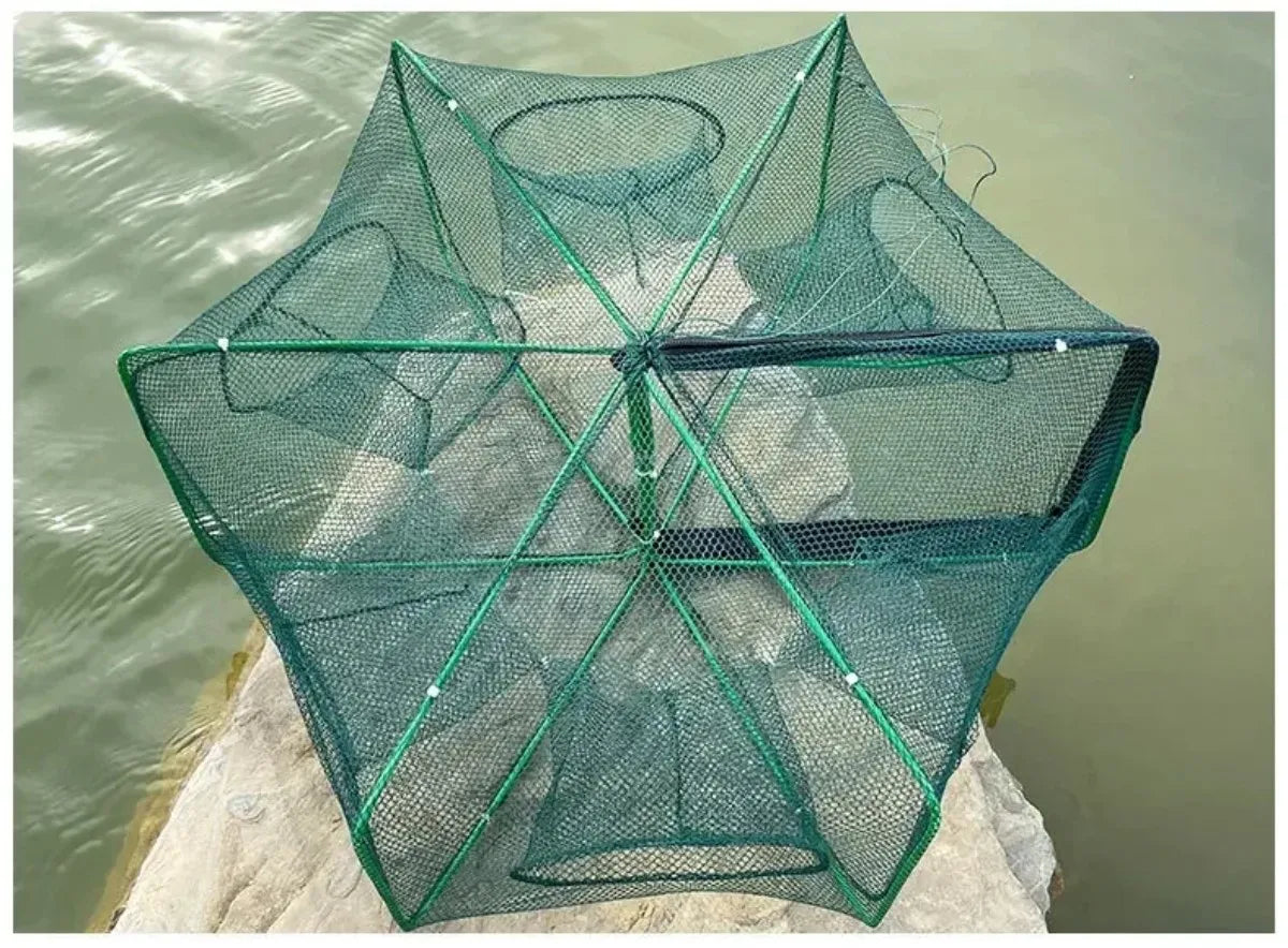 6-Hole Folding Crayfish & Fish Trap