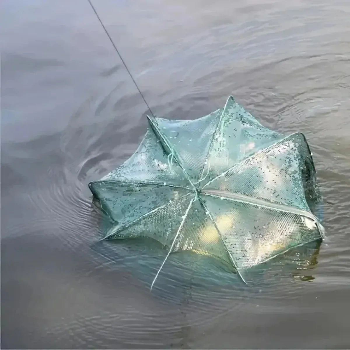 6-Hole Folding Crayfish & Fish Trap