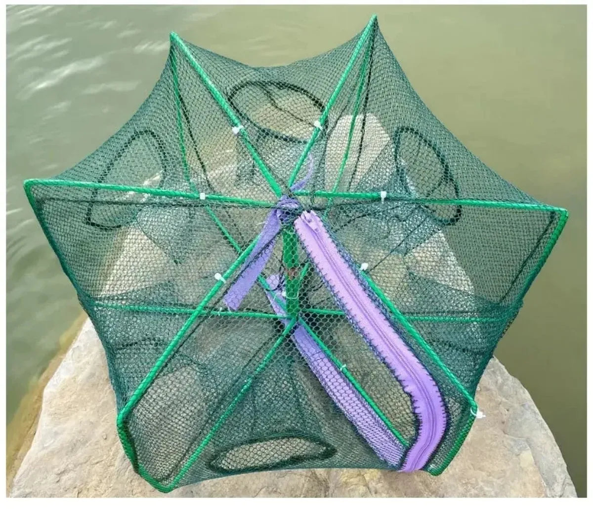 6-Hole Folding Crayfish & Fish Trap