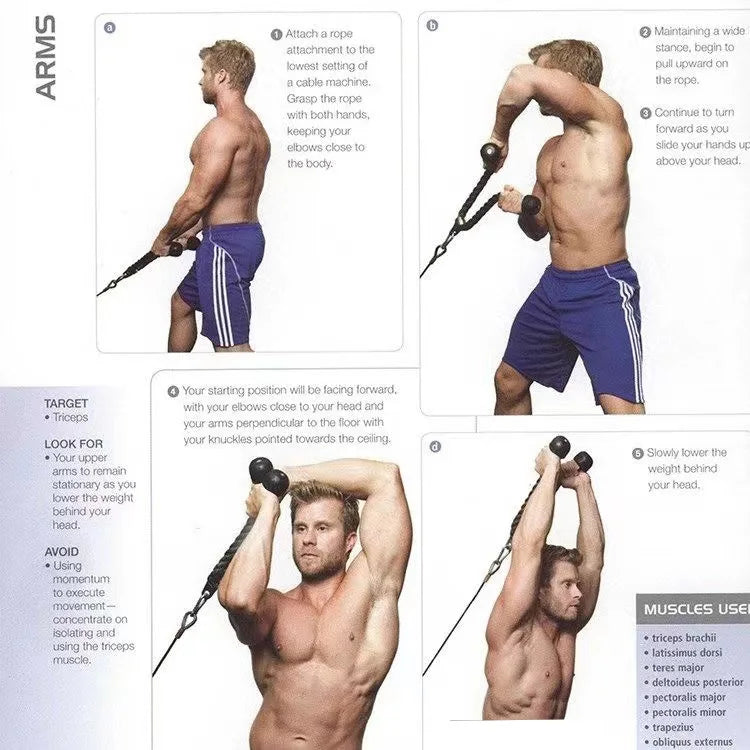 Triceps & Back Pull Rope