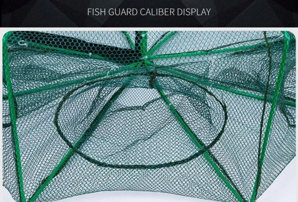 6-Hole Folding Crayfish & Fish Trap